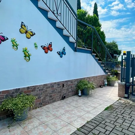 Dimora Melissa 可乐