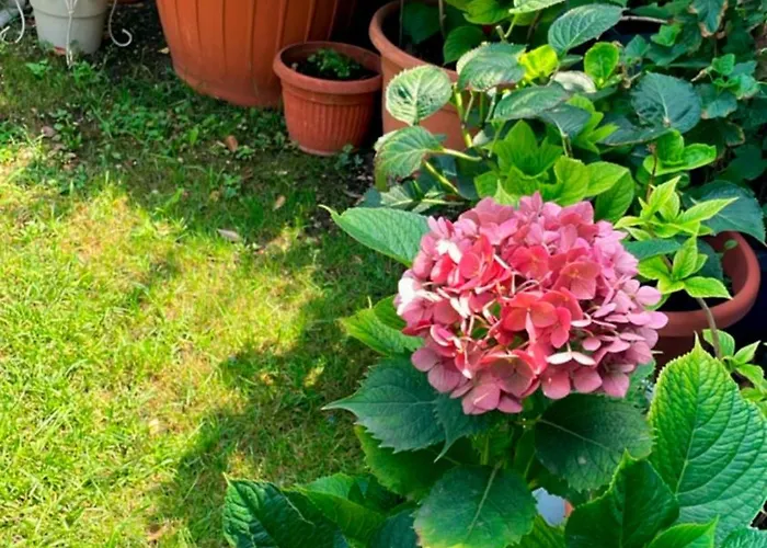 Dimora Melissa 3* Colà